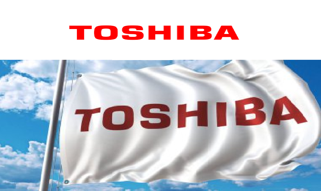 İzmir Güzelbahçe Toshiba Kombi Klima Servisi